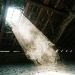 dust